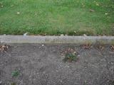 image of grave number 185808